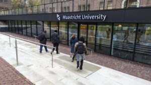 Refining, contextualizing, and articulating the digitalization strategies of Higher Education Institutions in Africa