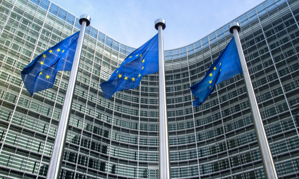 Obreal co-develops position paper to strengthen international higher education and research collaboration in EU foreign policy