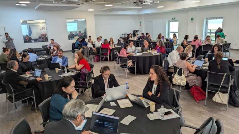 Obreal and ANUIES deliver joint training workshop on project design and management to foster the internationalisation of Mexican higher education institutions